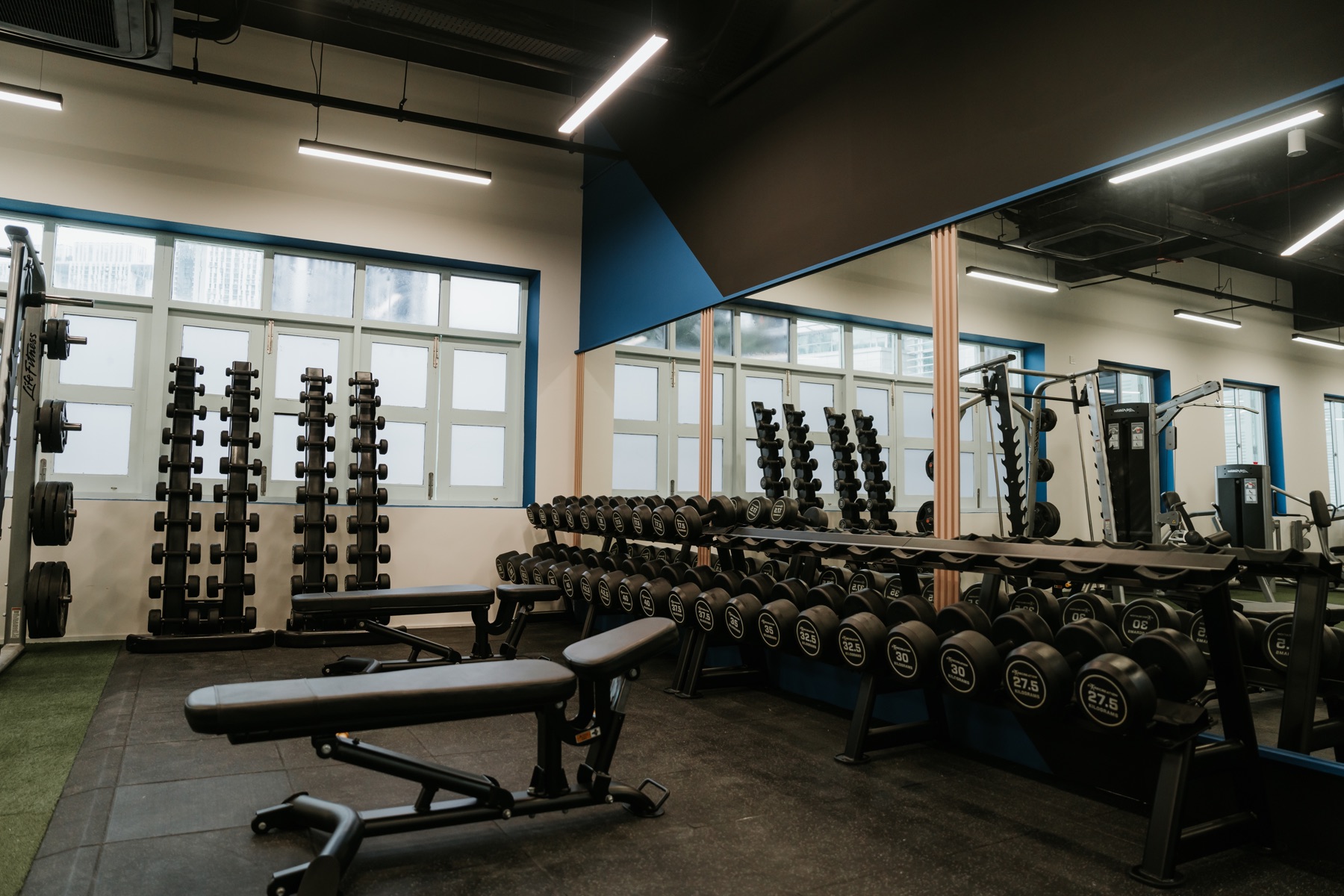 Dumbbell and free-weight area at Horizon Wellness Club
